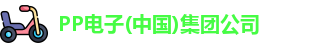 PP电子